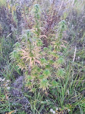 PHOTO-2023-09-30-08-40-49 (1).jpg