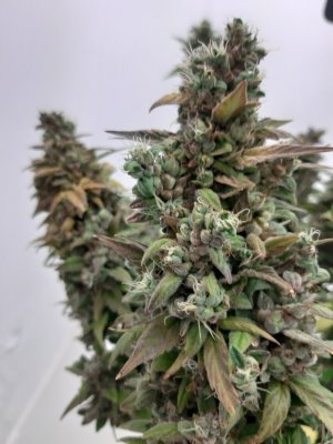 20231001_103402.jpg 20231001_103402.jpg