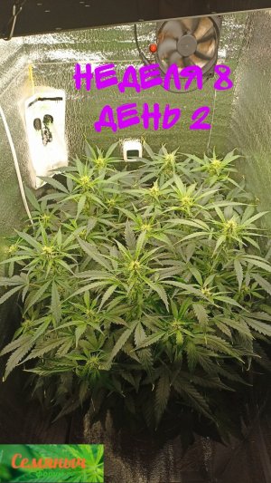 Picsart_23-09-27_07-28-55-569.jpg Picsart_23-09-27_07-28-55-569.jpg