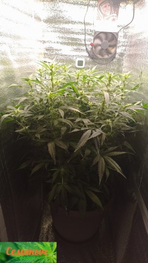 Picsart_23-09-29_08-22-45-601.jpg Picsart_23-09-29_08-22-45-601.jpg