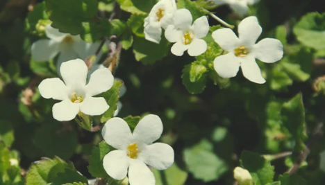 1696523152059.png 1696523152059.png