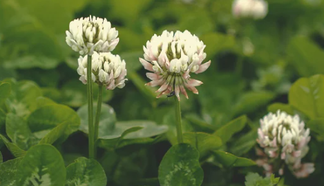 1696523305202.png 1696523305202.png