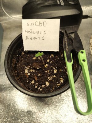 IMG_20230730_065807.jpg IMG_20230730_065807.jpg