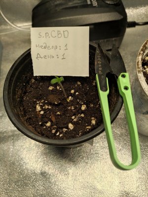 IMG_20230730_065816.jpg IMG_20230730_065816.jpg