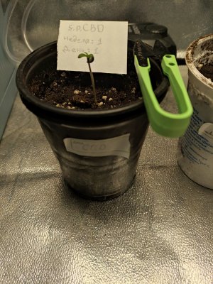 IMG_20230730_065827.jpg IMG_20230730_065827.jpg