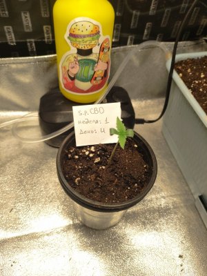 IMG_20230801_142110.jpg IMG_20230801_142110.jpg