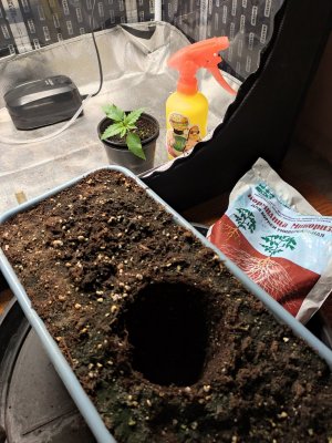 IMG_20230808_043058.jpg IMG_20230808_043058.jpg