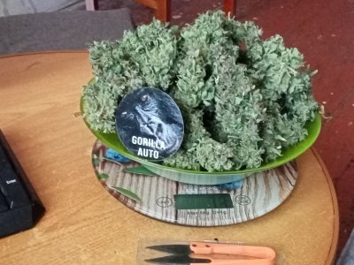 IMG20231006135326.jpg IMG20231006135326.jpg