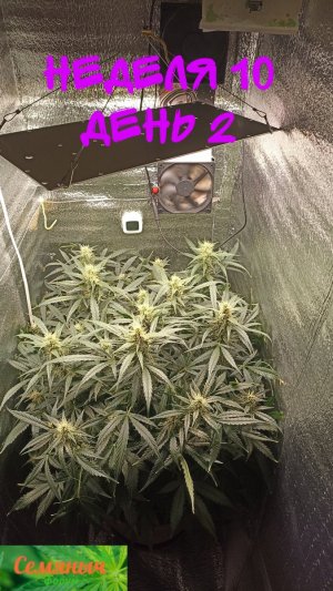 Picsart_23-10-10_08-20-30-243.jpg Picsart_23-10-10_08-20-30-243.jpg