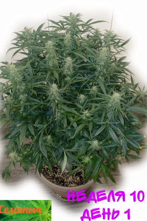 IMG_20231009_092648.png IMG_20231009_092648.png