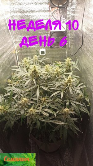 Picsart_23-10-14_08-49-21-658.jpg Picsart_23-10-14_08-49-21-658.jpg