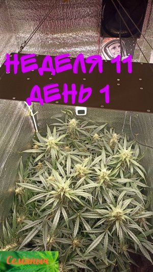 Picsart_23-10-16_14-08-12-415.jpg Picsart_23-10-16_14-08-12-415.jpg