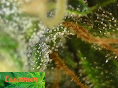 Picsart_23-10-16_19-46-49-938.jpg Picsart_23-10-16_19-46-49-938.jpg