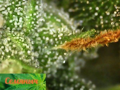 Picsart_23-10-16_19-48-47-873.jpg Picsart_23-10-16_19-48-47-873.jpg