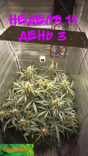 Picsart_23-10-18_07-36-00-379.jpg Picsart_23-10-18_07-36-00-379.jpg