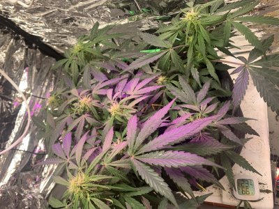 imgonline-com-ua-dexifQrXkBNTsRs3l.jpg imgonline-com-ua-dexifQrXkBNTsRs3l.jpg