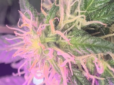 imgonline-com-ua-dexifzd8rdckUBtXU.jpg imgonline-com-ua-dexifzd8rdckUBtXU.jpg