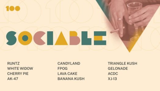 100strains-Categories-v2-Sociable-1920x1100-1x-1024x587.jpg 100strains-Categories-v2-Sociable-1920x1100-1x-1024x587.jpg