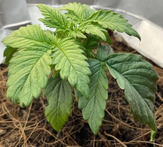 20220112_131446.jpg 20220112_131446.jpg