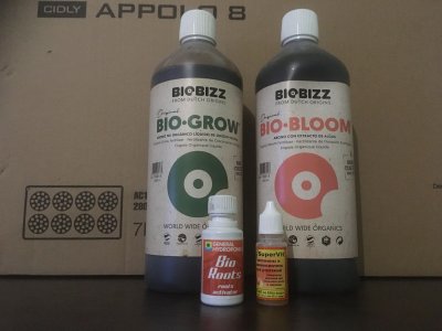 IMG_0585.JPG IMG_0585.JPG