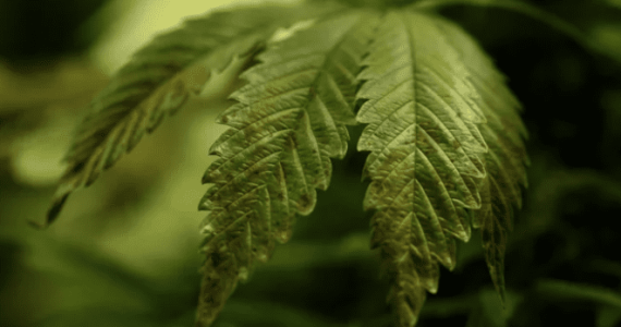 1642241844844.png 1642241844844.png