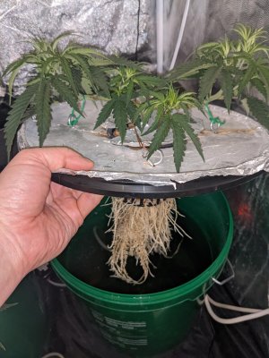 PXL_20220119_123147251.jpg PXL_20220119_123147251.jpg