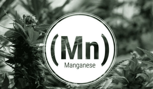 1643039129533.png 1643039129533.png