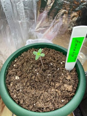 EF30A75D-3F03-4B8E-8224-A01BB97773D2.jpeg EF30A75D-3F03-4B8E-8224-A01BB97773D2.jpeg