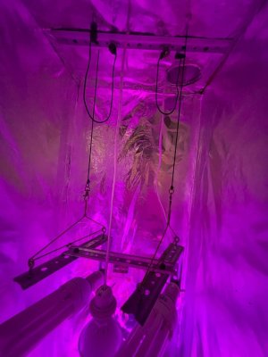 8DA8F449-1927-45EE-A4AC-EA03DFEAFFB4.jpeg 8DA8F449-1927-45EE-A4AC-EA03DFEAFFB4.jpeg