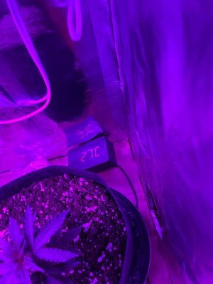 01BE2AD5-2FF9-4A19-BB47-62980F2405DE.jpeg 01BE2AD5-2FF9-4A19-BB47-62980F2405DE.jpeg