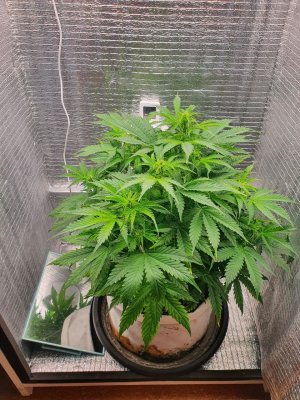 photo_2022-01-27_09-02-59 (2).jpg photo_2022-01-27_09-02-59 (2).jpg