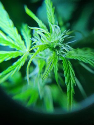 photo_2022-01-27_09-02-58.jpg photo_2022-01-27_09-02-58.jpg