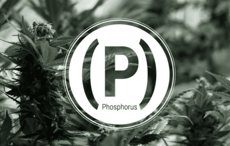 1643471441279.png 1643471441279.png