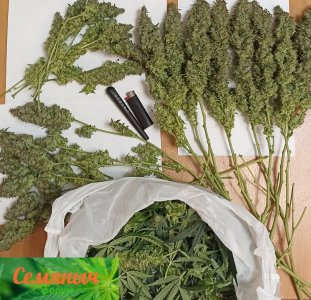 Picsart_23-10-31_01-06-27-278.jpg Picsart_23-10-31_01-06-27-278.jpg