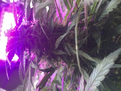 imgonline-com-ua-dexifjeOHWegzc3rl.jpg imgonline-com-ua-dexifjeOHWegzc3rl.jpg