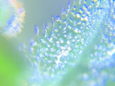 imgonline-com-ua-dexif4zxu7WtnKUFq.jpg imgonline-com-ua-dexif4zxu7WtnKUFq.jpg