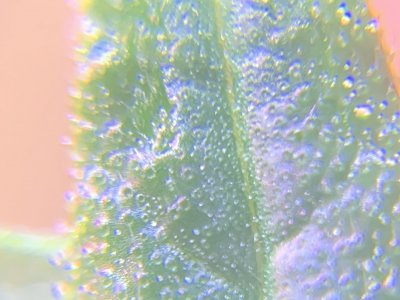 imgonline-com-ua-dexifVVG4SJT9DEiZ.jpg imgonline-com-ua-dexifVVG4SJT9DEiZ.jpg