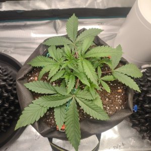 IMG20231109095146.jpg IMG20231109095146.jpg