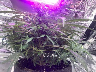 imgonline-com-ua-dexif9nIablJu0GeY.jpg imgonline-com-ua-dexif9nIablJu0GeY.jpg