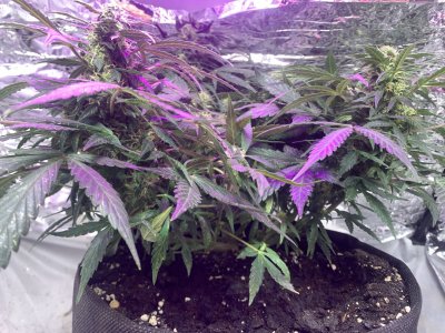 imgonline-com-ua-dexifBpwj5LN5yMTE.jpg imgonline-com-ua-dexifBpwj5LN5yMTE.jpg