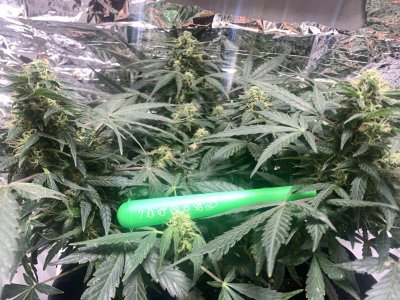 imgonline-com-ua-dexifrrJLB64PMbyE.jpg imgonline-com-ua-dexifrrJLB64PMbyE.jpg