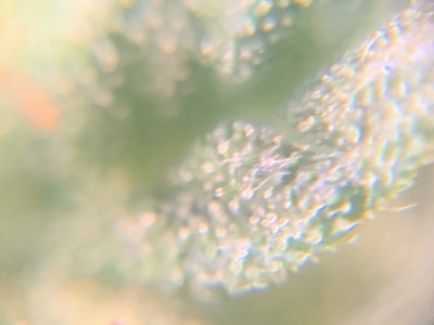 imgonline-com-ua-dexif48zMk3J41rrv.jpg imgonline-com-ua-dexif48zMk3J41rrv.jpg