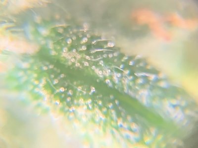 imgonline-com-ua-dexifx0521wS7Z3dP.jpg imgonline-com-ua-dexifx0521wS7Z3dP.jpg