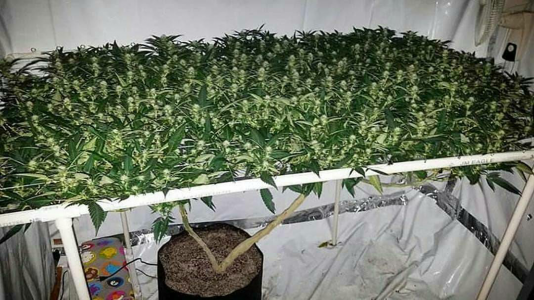 1700109801167.png 1700109801167.png