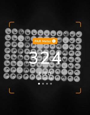 20231117_202207.jpg 20231117_202207.jpg