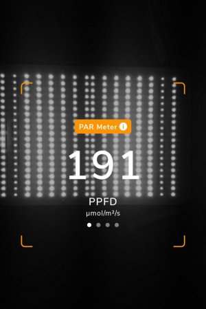 20231117_202140.jpg 20231117_202140.jpg