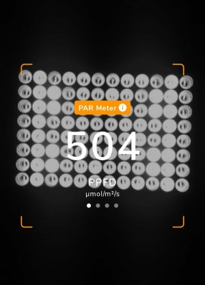 20231117_202220.jpg 20231117_202220.jpg