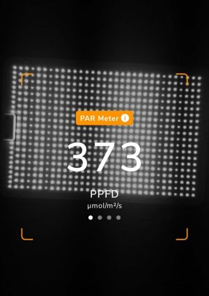 20231117_202151.jpg 20231117_202151.jpg