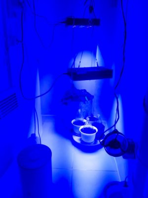 20231117_215324.jpg 20231117_215324.jpg