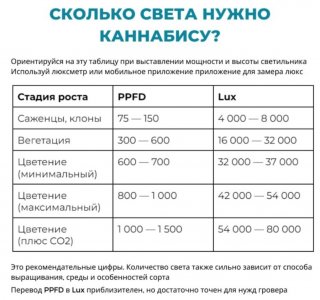 20231121_195210.jpg 20231121_195210.jpg